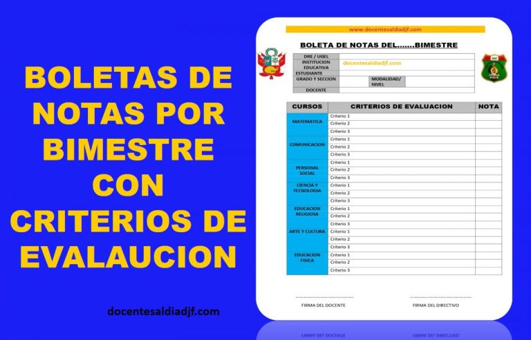 Boleta de notas con criterios de evaluación por bimestre