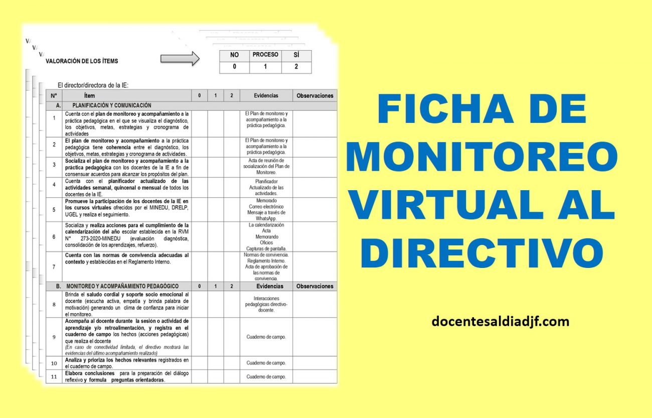 Ficha de monitoreo al directivo de las Instituciones Educativas