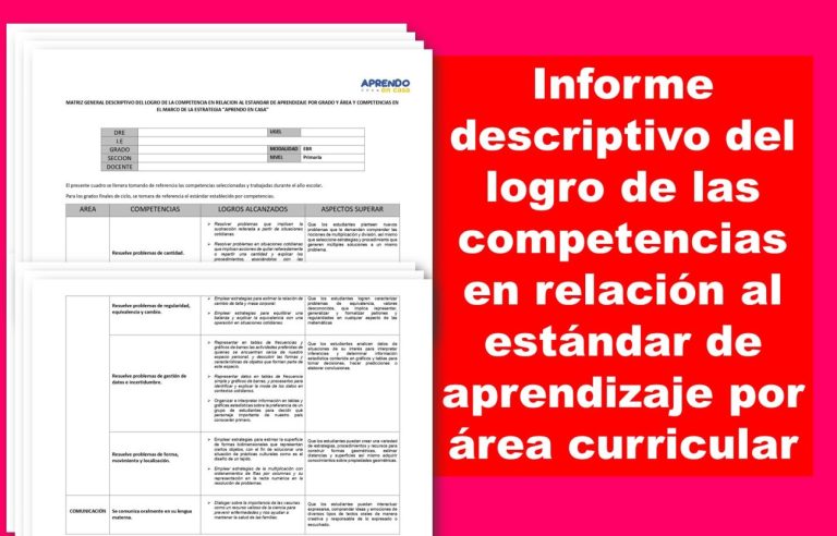 Informe descriptivo del logro de las competencias en relación al estándar de aprendizaje por área curricular