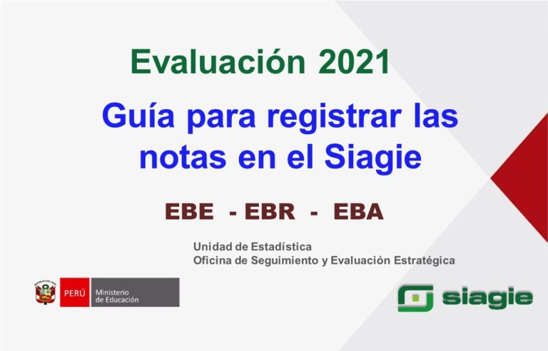 GUIA para registrar las notas de los estudiantes en el SIAGIE