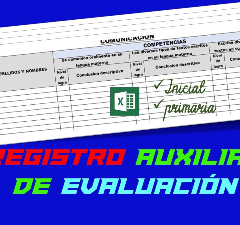 Registro auxiliar de evaluación de inicial y primaria con conclusiones descriptivas