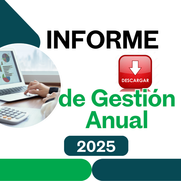 Informe de gestión anual 2025